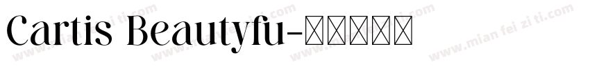 Cartis Beautyfu字体转换